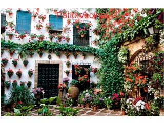 Patio vecinal