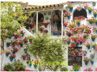 PATIO VECINAL