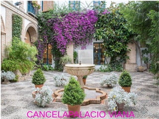 CANCELAPALACIO VIANA