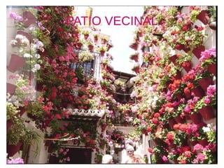 PATIO VECINAL