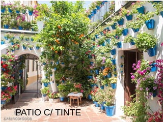 PATIO C/ TINTE