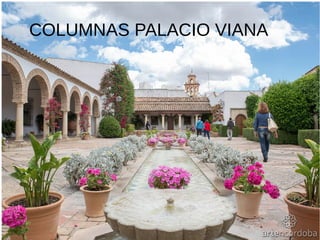 COLUMNAS PALACIO VIANA