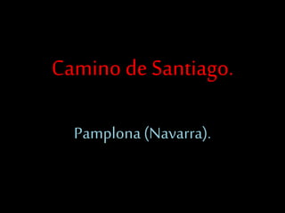 Camino de Santiago.
Pamplona(Navarra).
 