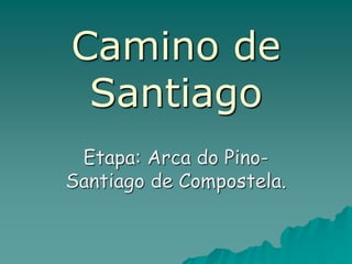 Camino de
Santiago
Etapa: Arca do Pino-
Santiago de Compostela.
 