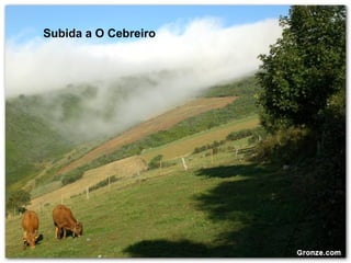 Subida a O Cebreiro
 
