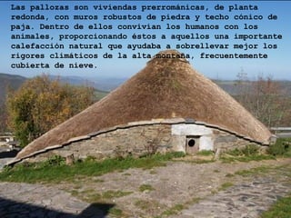 Las pallozas son viviendas prerrománicas, de planta
redonda, con muros robustos de piedra y techo cónico de
paja. Dentro de ellos convivían los humanos con los
animales, proporcionando éstos a aquellos una importante
calefacción natural que ayudaba a sobrellevar mejor los
rigores climáticos de la alta montaña, frecuentemente
cubierta de nieve.




                      'Palloza' tradicional,
                      O Cebreiro
 