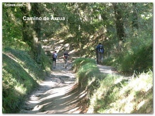 Camino de Arzua
 