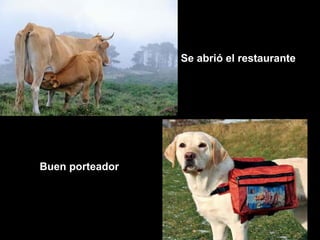 Se abrió el restaurante




Buen porteador
 