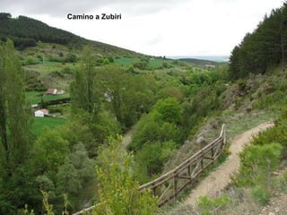 Camino a Zubiri
 
