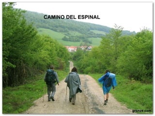 CAMINO DEL ESPINAL
 