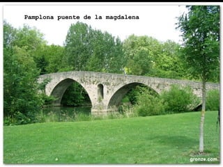 Pamplona puente de la magdalena
 