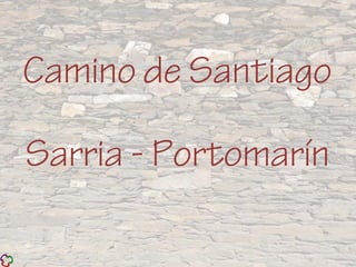 Camino de Santiago 
Sarria - Portomarín 
 