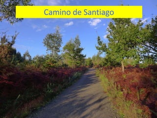 Camino de Santiago

 