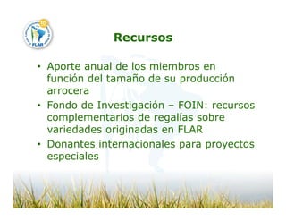 Camino desarrollo arrocero_lac