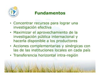 Camino desarrollo arrocero_lac