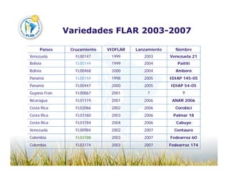 Camino desarrollo arrocero_lac