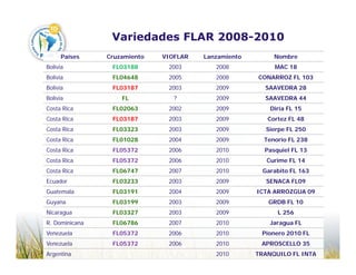 Camino desarrollo arrocero_lac