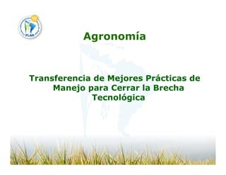 Camino desarrollo arrocero_lac