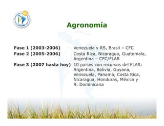 Camino desarrollo arrocero_lac