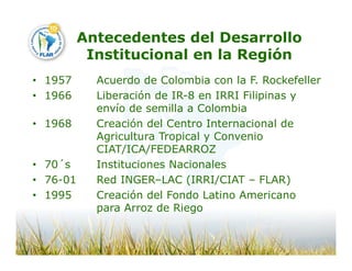 Camino desarrollo arrocero_lac