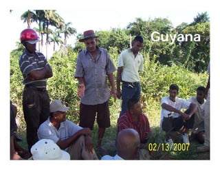 Camino desarrollo arrocero_lac