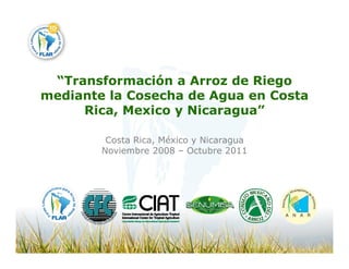 Camino desarrollo arrocero_lac