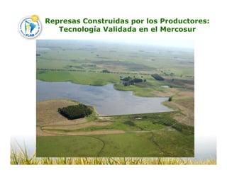 Camino desarrollo arrocero_lac