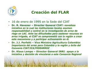 Camino desarrollo arrocero_lac