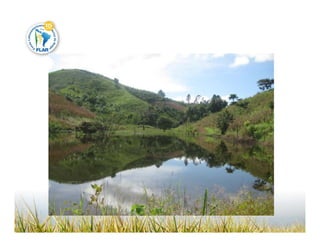 Camino desarrollo arrocero_lac