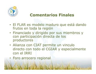 Camino desarrollo arrocero_lac