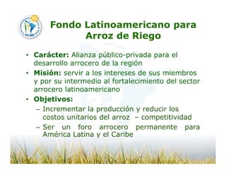 Camino desarrollo arrocero_lac