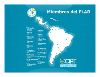 Camino desarrollo arrocero_lac