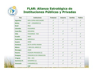 Camino desarrollo arrocero_lac