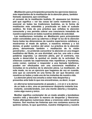 Camino hacia la sanacion , meditacion