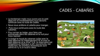 CADES - CABAÑES
• Le lendemain matin nous avons pris le petit
déjeuner et immédiatement nous devions
continuer avec la route de Cades.
• Nous nous arrêtons à Lebeña pour manger.
• Puis nous continuons avec la route des
cabañes.
• Pour arriver au lodge, pour faire une
promenade dans les cabanes et la nuit pour
nous reposer.
• Le lodge le hayal de cabanas coûte avec le
petit déjeuner et l'hébergement 9 € et avec le
petit déjeuner et le dîner 12 €, la réservation est
obligatoire et l'abergue a wifi, couvertures, bar
restaurant, les animaux domestiques sont
admis et il y a un local à vélos.
 