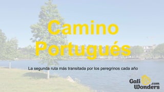 Camino
Portugués
La segunda ruta más transitada por los peregrinos cada año
 