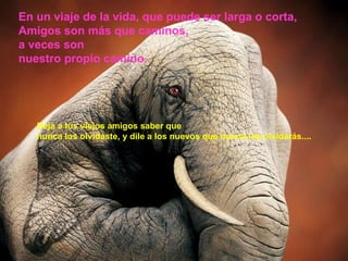 En un viaje de la vida, que puede ser larga o corta, Amigos son más que caminos,  a veces son  nuestro propio camino. Deja a tus viejos amigos saber que nunca los olvidaste, y dile a los nuevos que nunca los olvidarás.... 