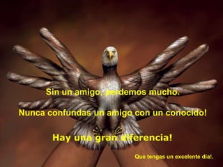 Sin un amigo, perdemos mucho.

Nunca confundas un amigo con un conocido!

       Hay una gran diferencia!

                         Que tengas un excelente día!.
 