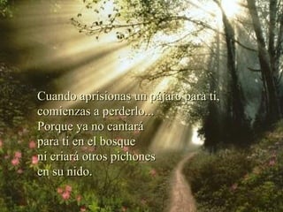 Cuando aprisionas un pájaro para ti, comienzas a perderlo... Porque ya no cantará para ti en el bosque ni criará otros pichones en su nido.