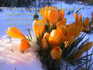 Cuando no dejas partir a tu hijo hacia la vida, comienzas a perderlo... porque nunca lo verás volver a ti, libre y maduro.