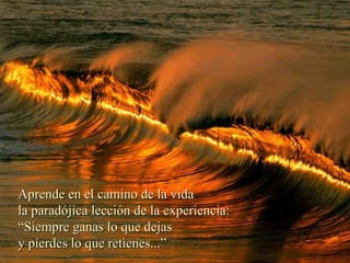 Aprende en el camino de la vida la paradójica lección de la experiencia: “ Siempre ganas lo que dejas y pierdes lo que retienes...”