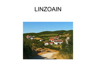 LINZOAIN
 