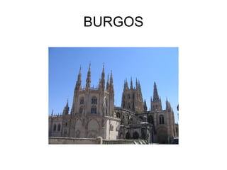 BURGOS
 