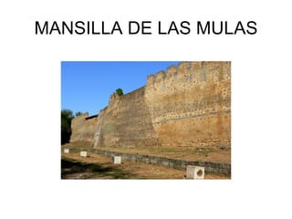 MANSILLA DE LAS MULAS
 
