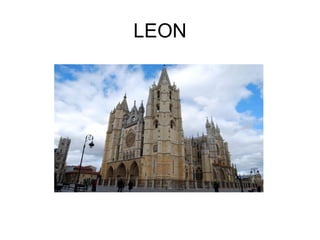 LEON
 