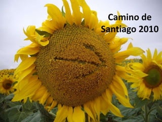 Camino de Santiago 2010 