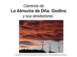 Caminos de
La Almunia de Dña. Godina
              y sus alrededores




  Atardecer en La Almunia. Los tordos se acurrucan en las nubes preparándose para dormir.
 