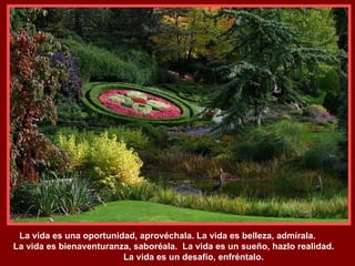 La vida es una oportunidad, aprovéchala. La vida es belleza, admírala.  La vida es bienaventuranza, saboréala.  La vida es un sueño, hazlo realidad.  La vida es un desafío, enfréntalo. 