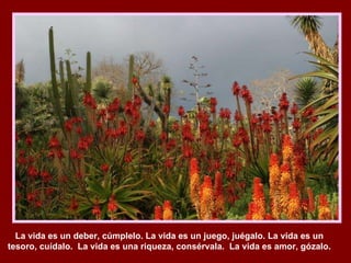 La vida es un deber, cúmplelo. La vida es un juego, juégalo. La vida es un tesoro, cuídalo.  La vida es una riqueza, consérvala.  La vida es amor, gózalo. 