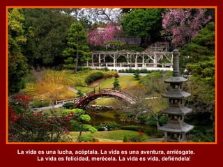 La vida es una lucha, acéptala. La vida es una aventura, arriésgate.  La vida es felicidad, merécela. La vida es vida, defiéndela ! 